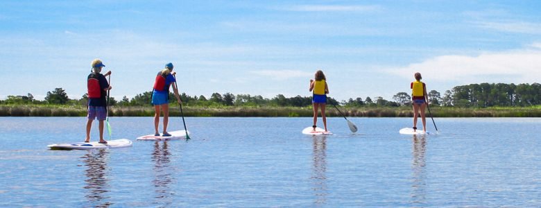 Stand Up Paddleboards Stand Up Paddleboards