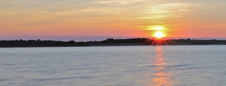 Sunset Sanctuary Vineyard Voyage Sunset Sanctuary Vineyard Voyage